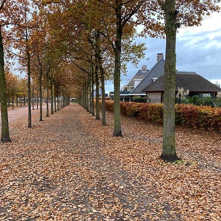 Vakantiehuisje Het Kiekje 贝亨奥普佐姆 外观 照片